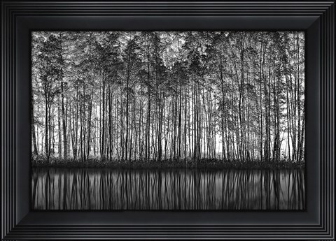 Framed Pointillism Nature Print