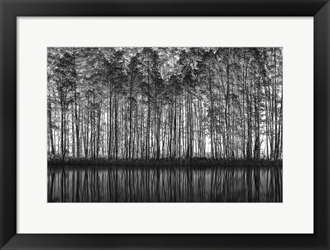 Framed Pointillism Nature Print