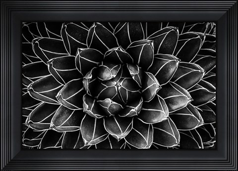 Framed Natural Math Print