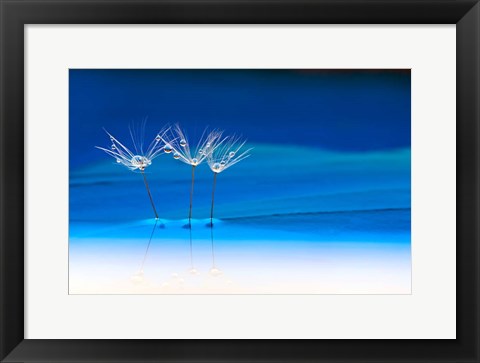 Framed Blue Landscape Print