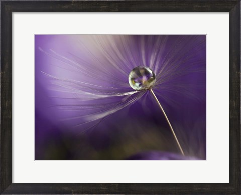 Framed In Shades Of Purple Print