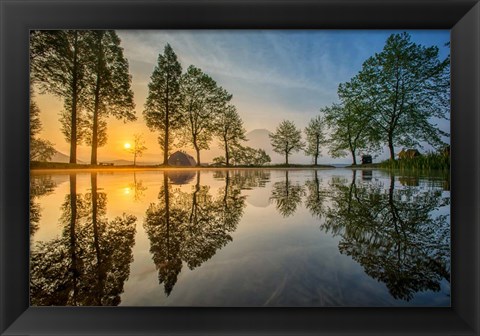 Framed Mount Fuji Reflected In Lake , Japan Print