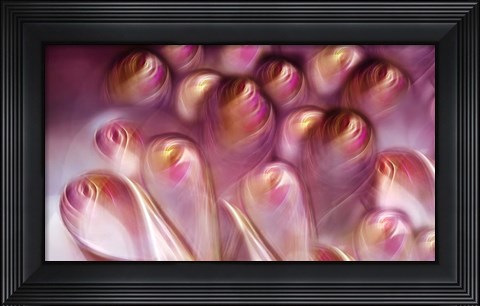 Framed Rosebuds Print