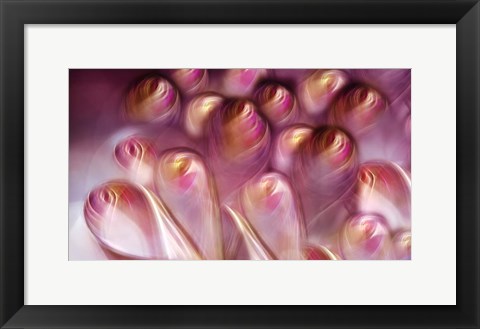 Framed Rosebuds Print