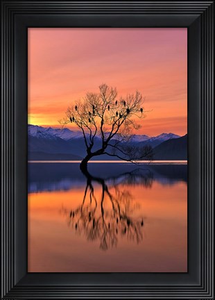 Framed Lone Tree Is Not Lonely Print