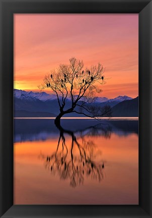 Framed Lone Tree Is Not Lonely Print