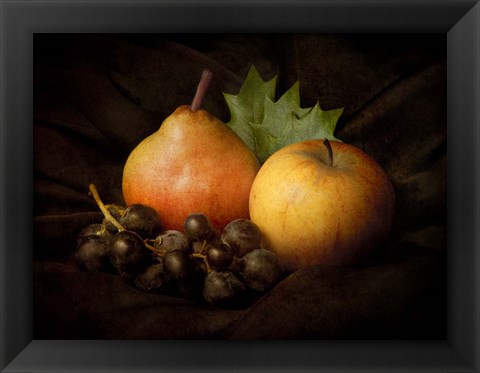 Framed Nature Morte #3 Print