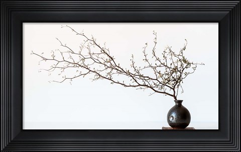 Framed Vase And Branch Print