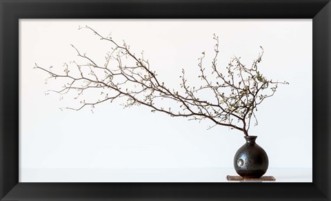 Framed Vase And Branch Print