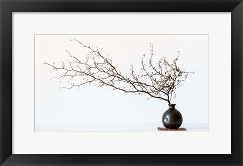 Framed Vase And Branch Print