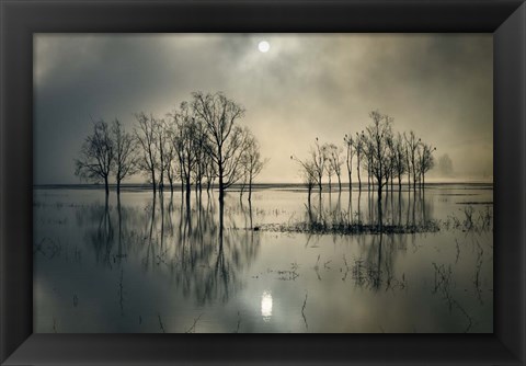 Framed Lake&#39;s Secret Print