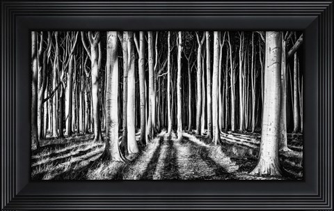 Framed Ghost Forest Print