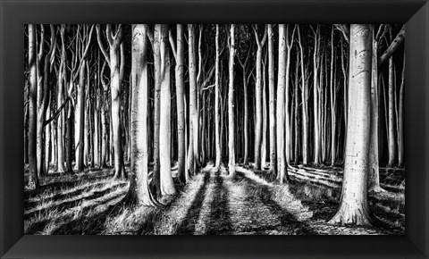 Framed Ghost Forest Print
