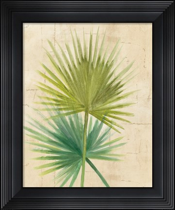 Framed Fan Palm Print