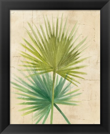 Framed Fan Palm Print