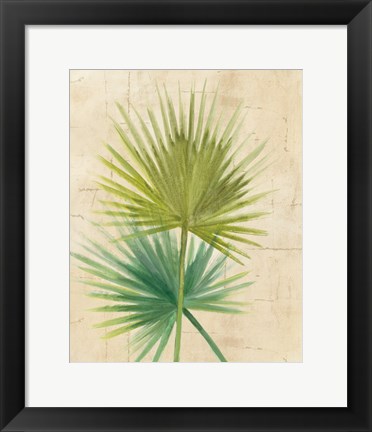 Framed Fan Palm Print