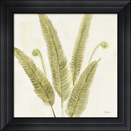 Framed Forest Ferns II Print