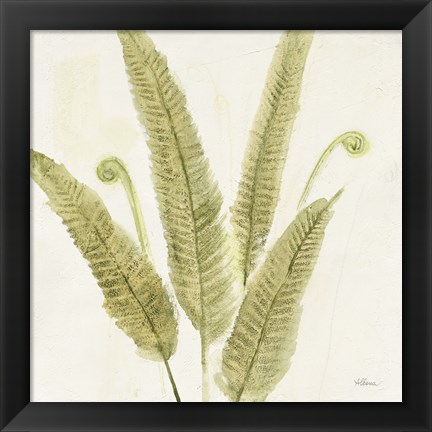 Framed Forest Ferns II Print