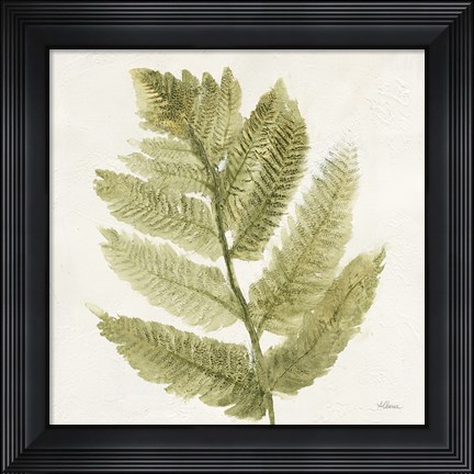 Framed Forest Ferns I Print