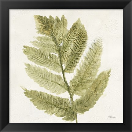 Framed Forest Ferns I Print