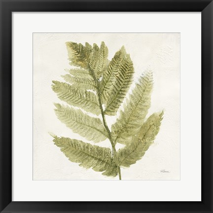 Framed Forest Ferns I Print