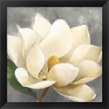 Framed Magnolia Blossom on Gray Print