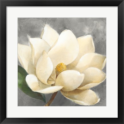 Framed Magnolia Blossom on Gray Print