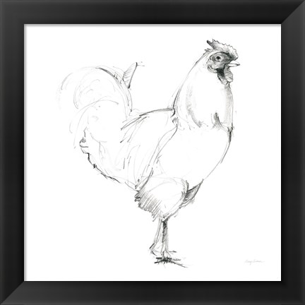 Framed Rooster II Dark Square Print