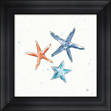 Framed Maritime XII Print