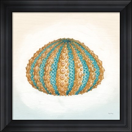 Framed Boardwalk Urchin Print