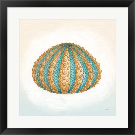 Framed Boardwalk Urchin Print