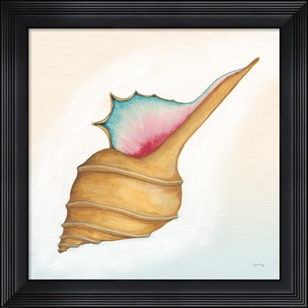 Framed Boardwalk Murex Print