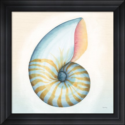 Framed Boardwalk Nautilus Print