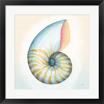 Framed Boardwalk Nautilus Print