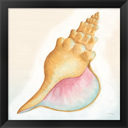 Framed Boardwalk Conch Print