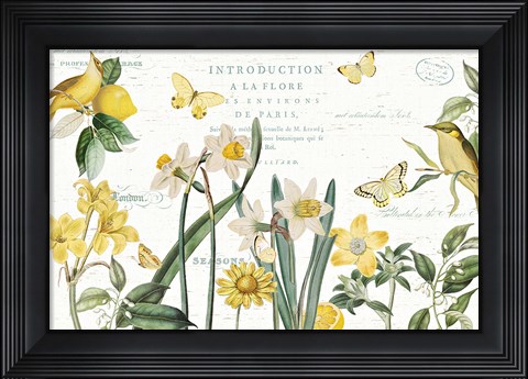 Framed Citron Curiosities I Print