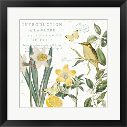 Framed Citron Curiosities III Print