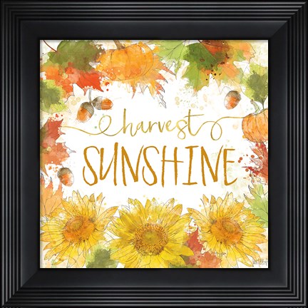 Framed Harvest Splash III Print