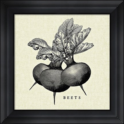 Framed Linen Vegetable BW Sketch Beets Print