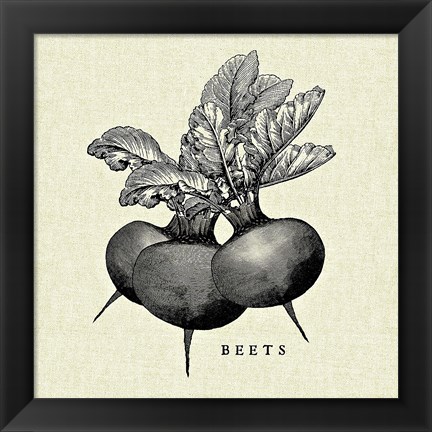 Framed Linen Vegetable BW Sketch Beets Print