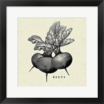 Framed Linen Vegetable BW Sketch Beets Print