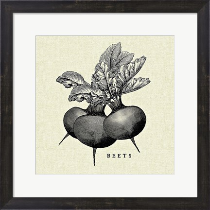 Framed Linen Vegetable BW Sketch Beets Print