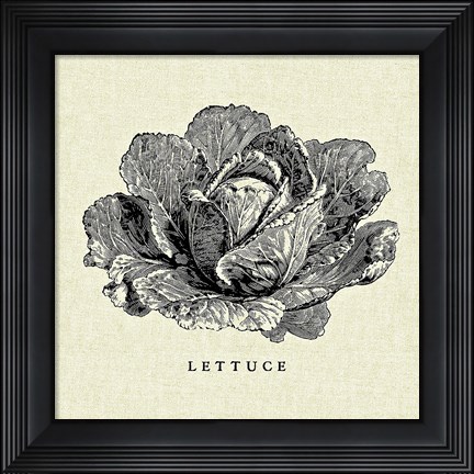 Framed Linen Vegetable BW Sketch Lettuce Print