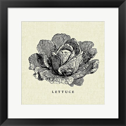 Framed Linen Vegetable BW Sketch Lettuce Print