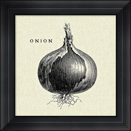 Framed Linen Vegetable BW Sketch Onion Print