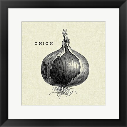 Framed Linen Vegetable BW Sketch Onion Print