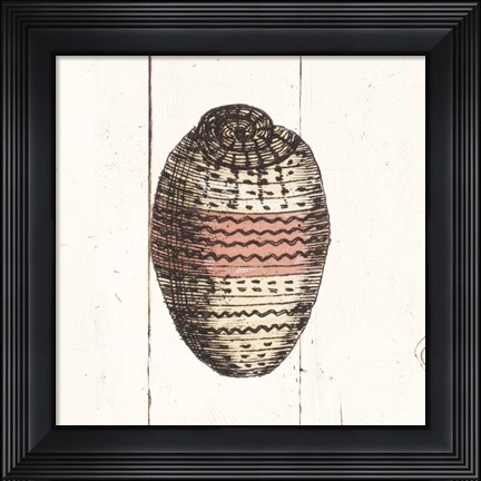 Framed Shell Sketches IV Shiplap Print