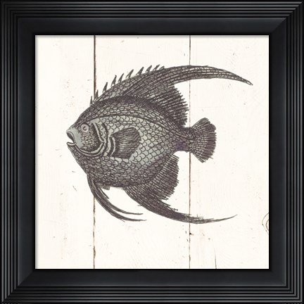 Framed Fish Sketches IV Shiplap Print