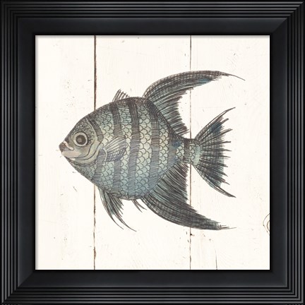 Framed Fish Sketches II Shiplap Print