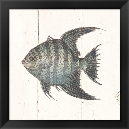 Framed Fish Sketches II Shiplap Print